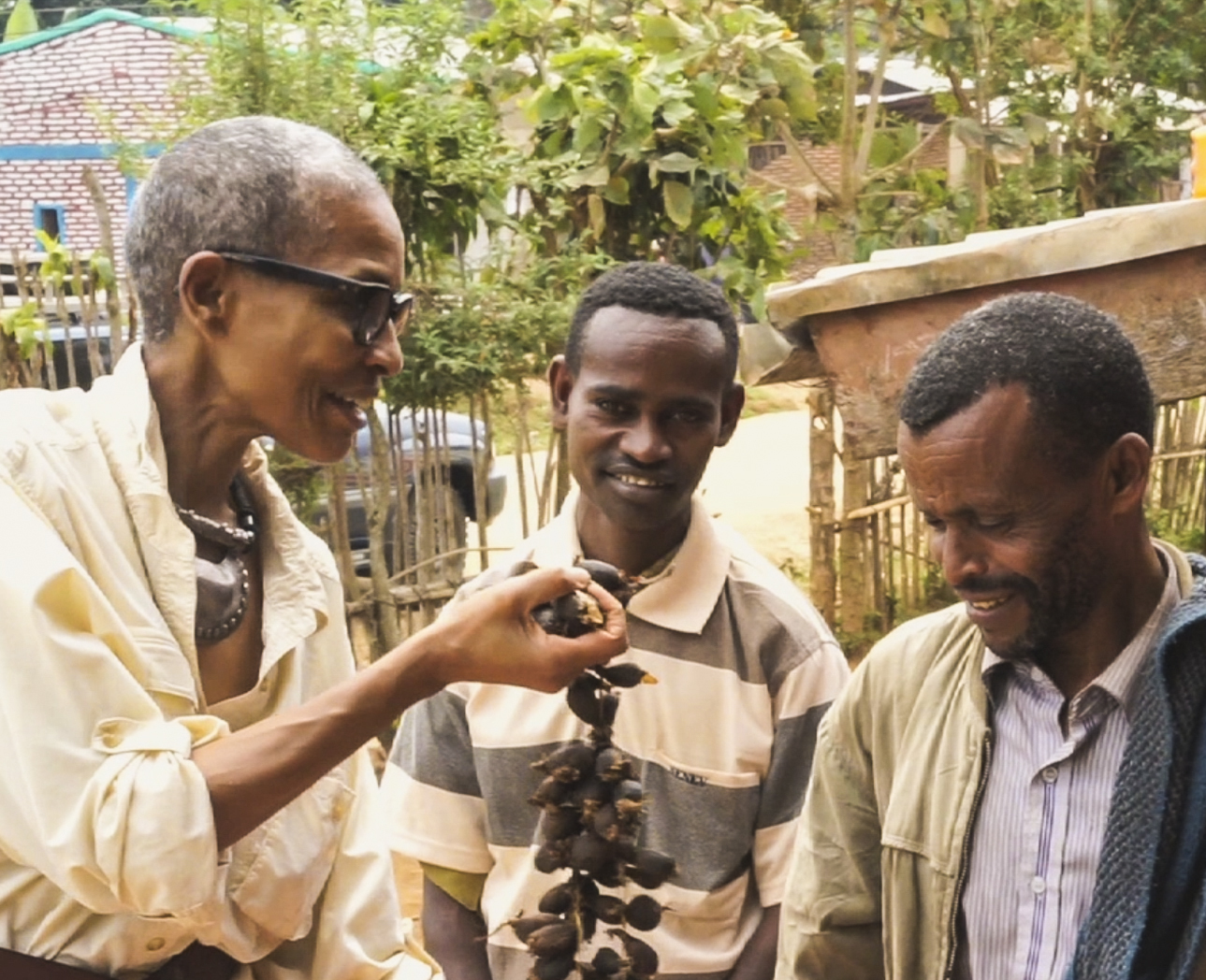 La chasse aux épices éthiopiennes