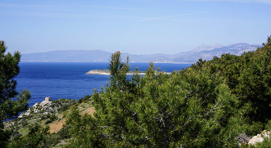 Saveurs et goûts: La Crète et la Provence