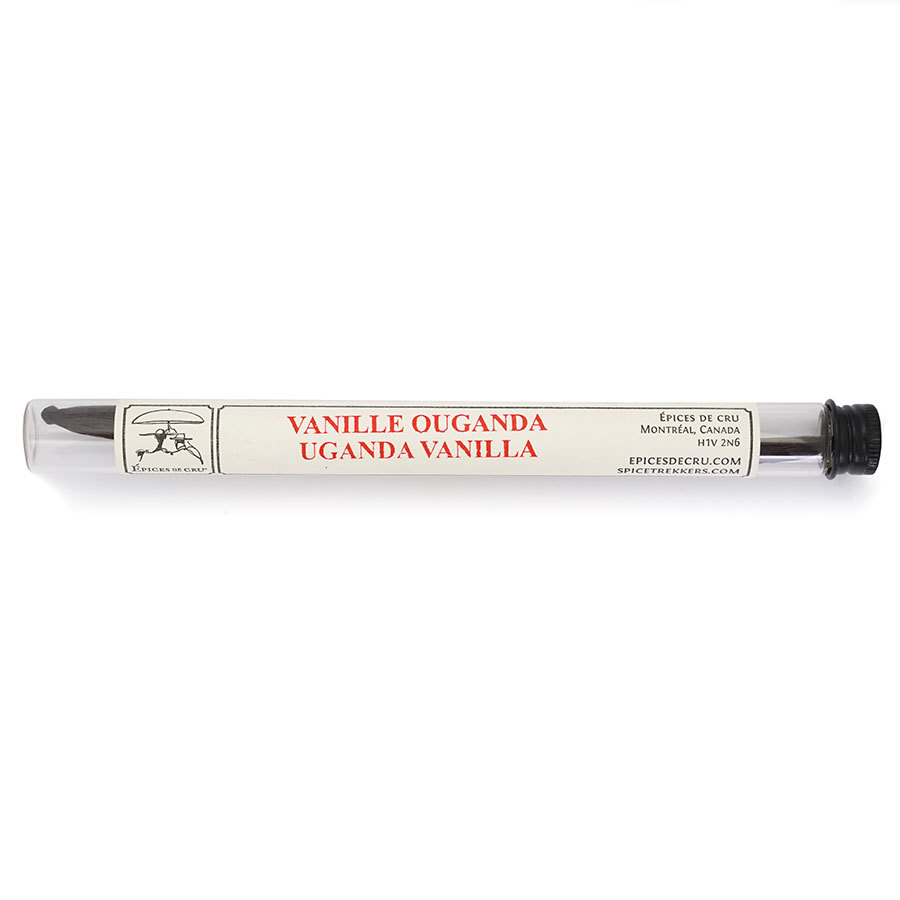 uganda-vanilla-pod-in-tube