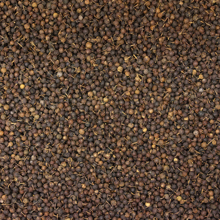 Cubeb - Buy online | Spice Trekkers